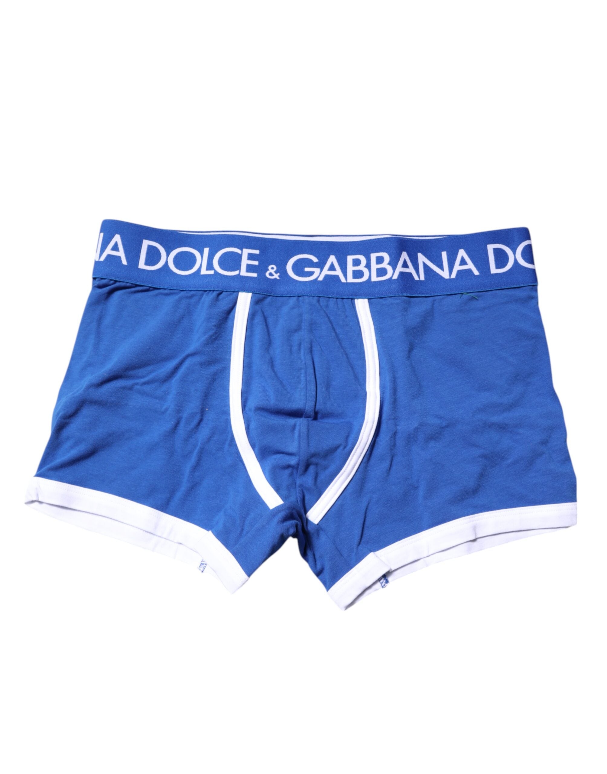 Dolce & Gabbana Blue Logo Waist Regular Boxer Brief Underwear